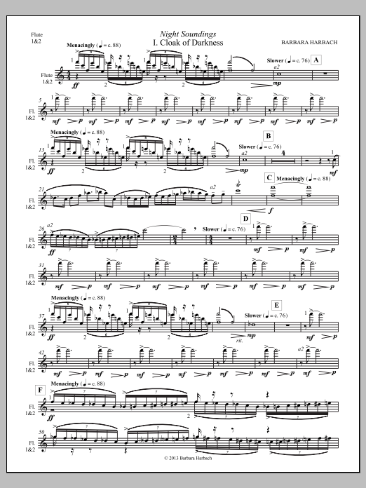 Night Soundings for Orchestra - Flute