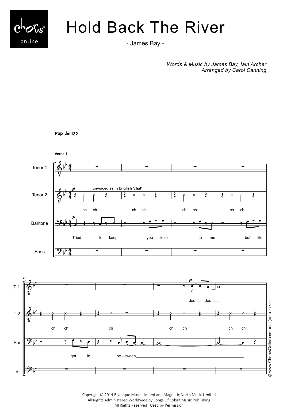Hold Back the River (arr. Carol Canning): TTBarB Choral Octavo