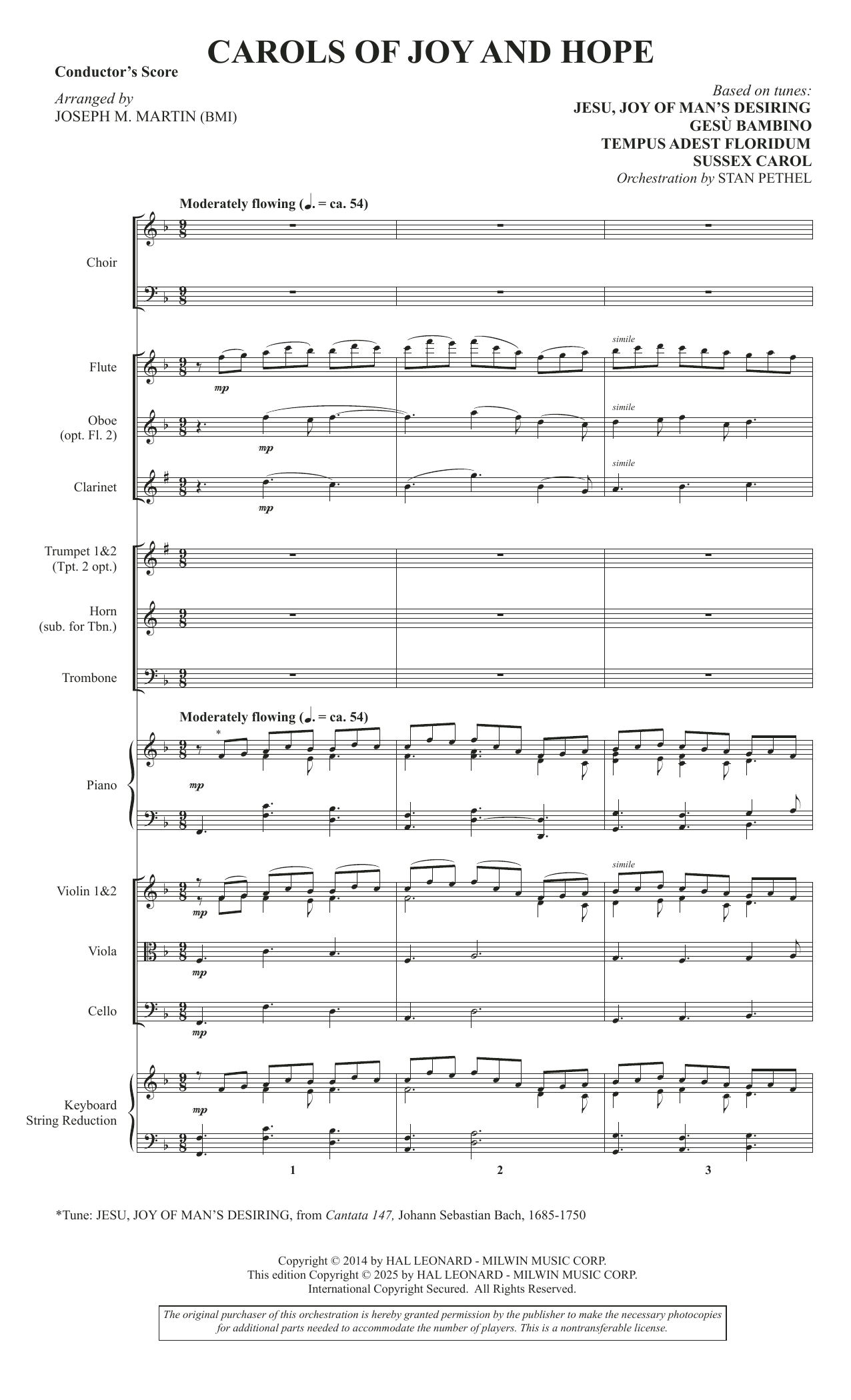 Carols Of Joy And Hope (Chamber Orchestra)