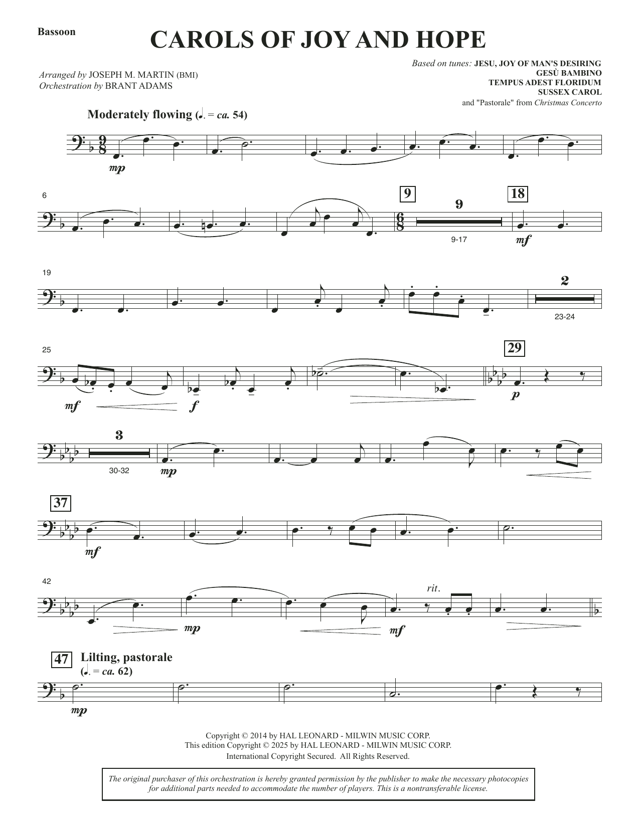 Carols Of Joy And Hope - Bassoon