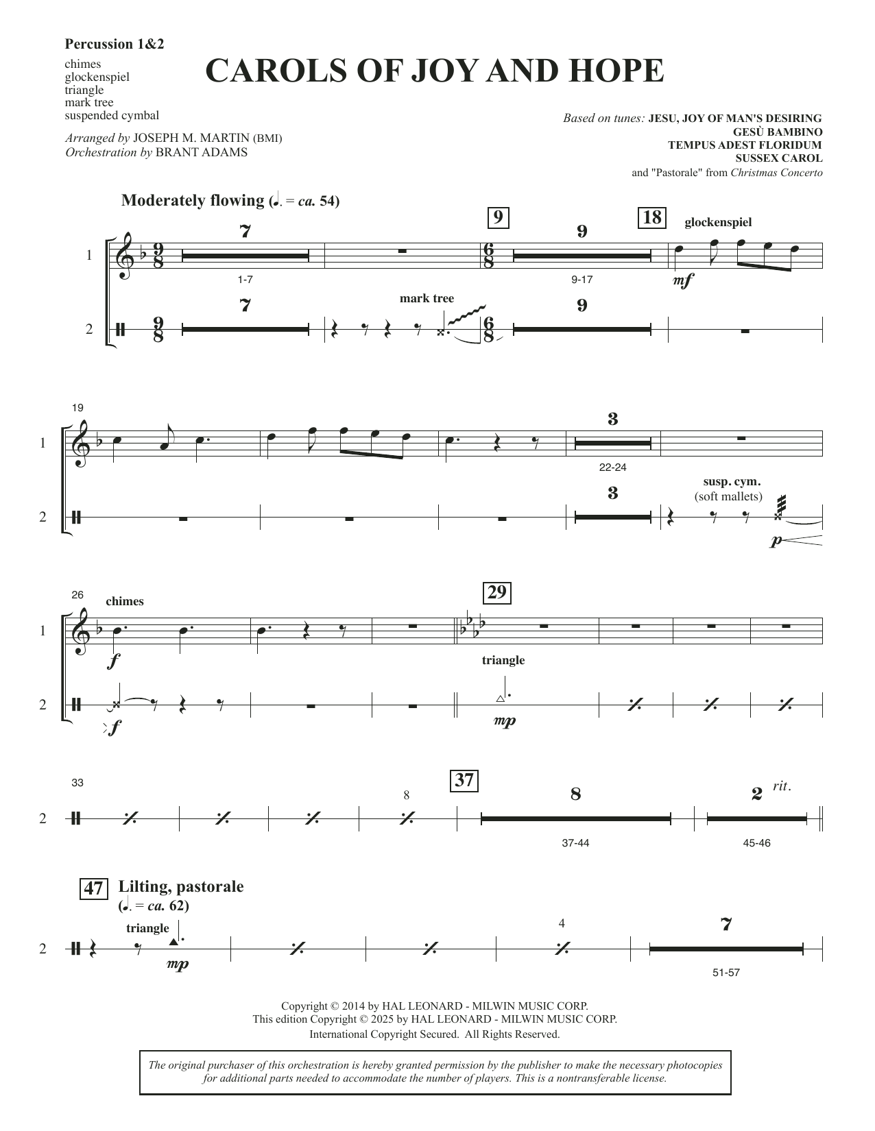 Carols Of Joy And Hope - Percussion 1 & 2
