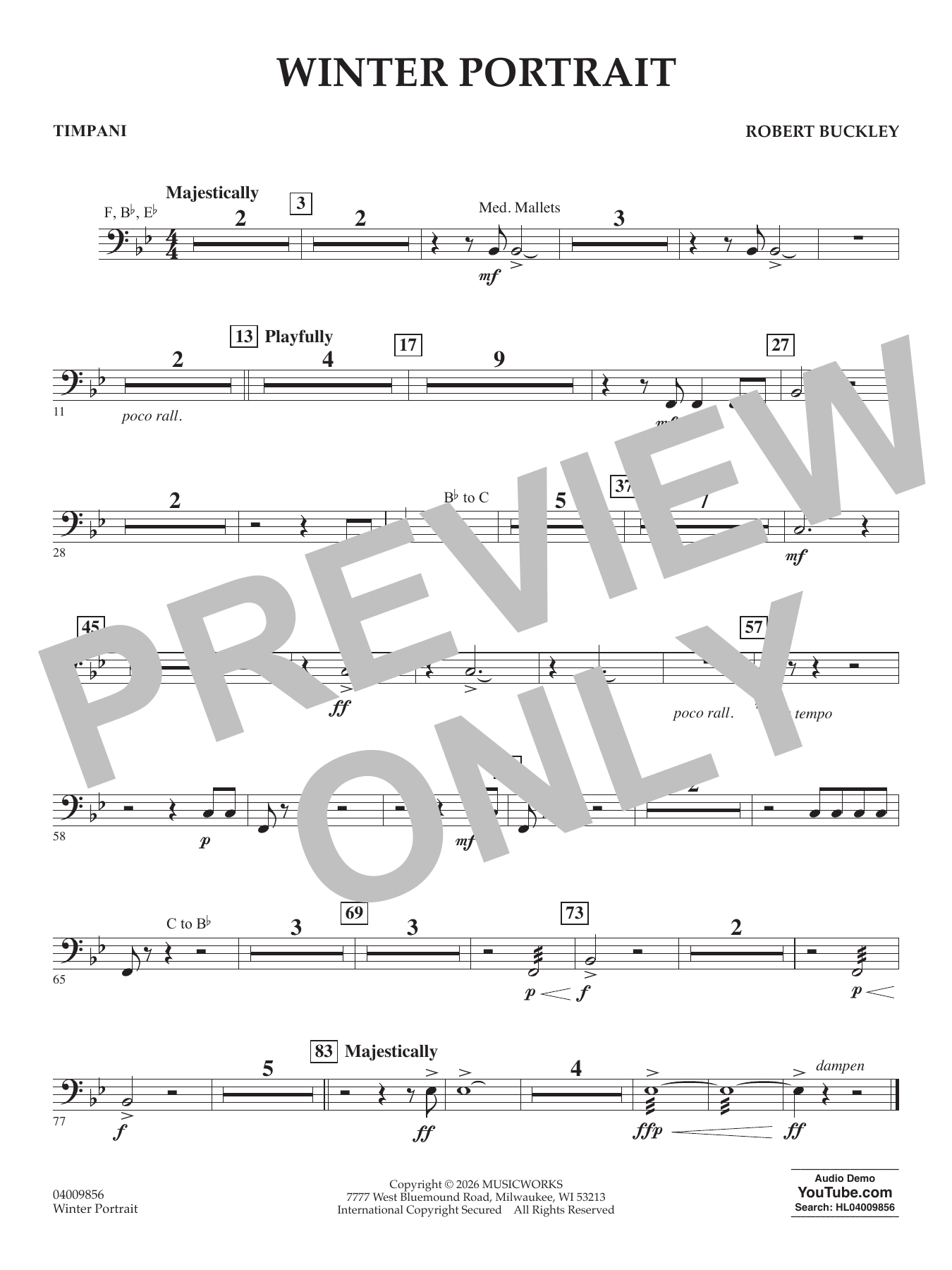 Winter Portrait - Timpani