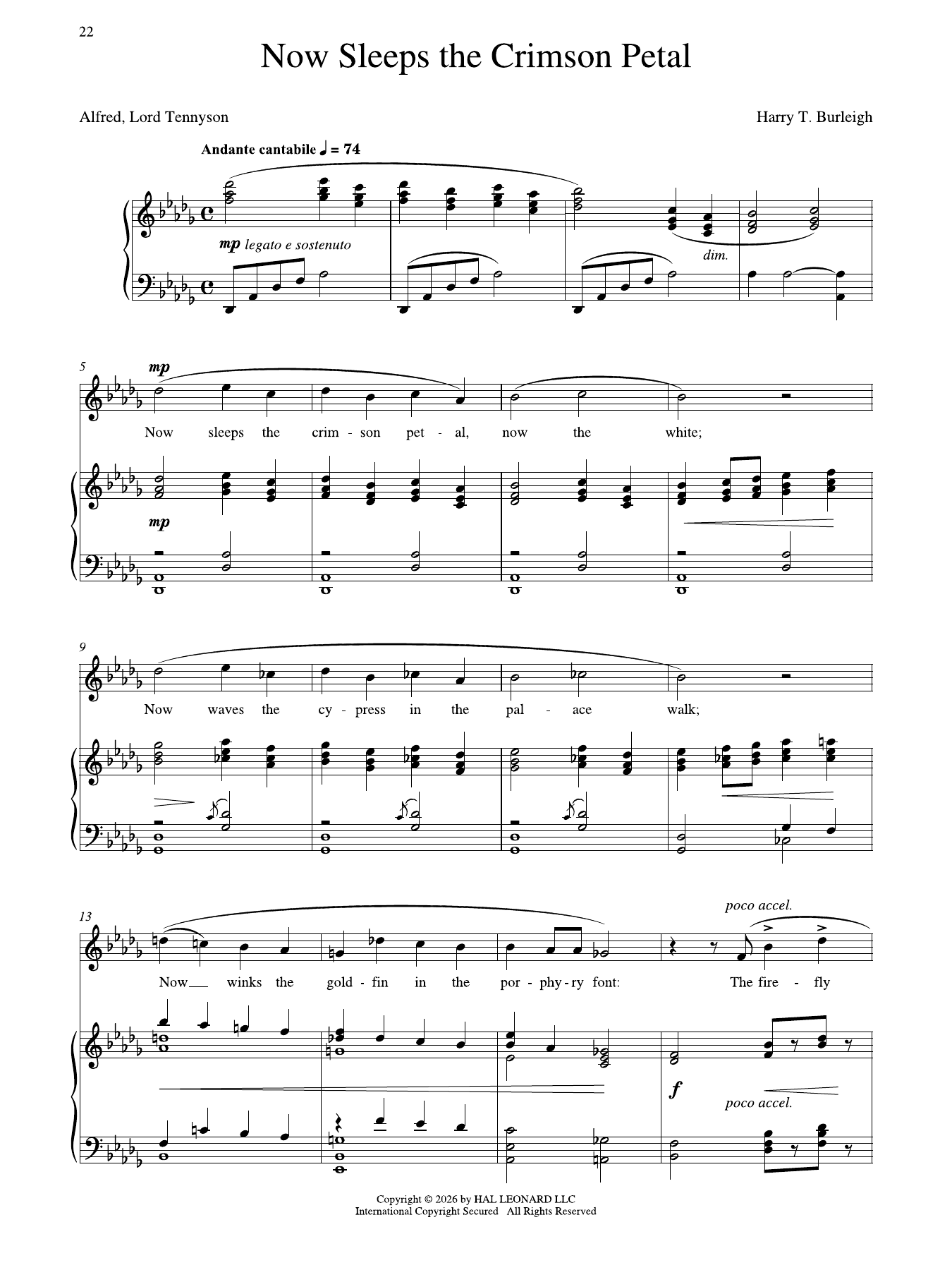 Now Sleeps The Crimson Petal (High Voice): Piano Vocal