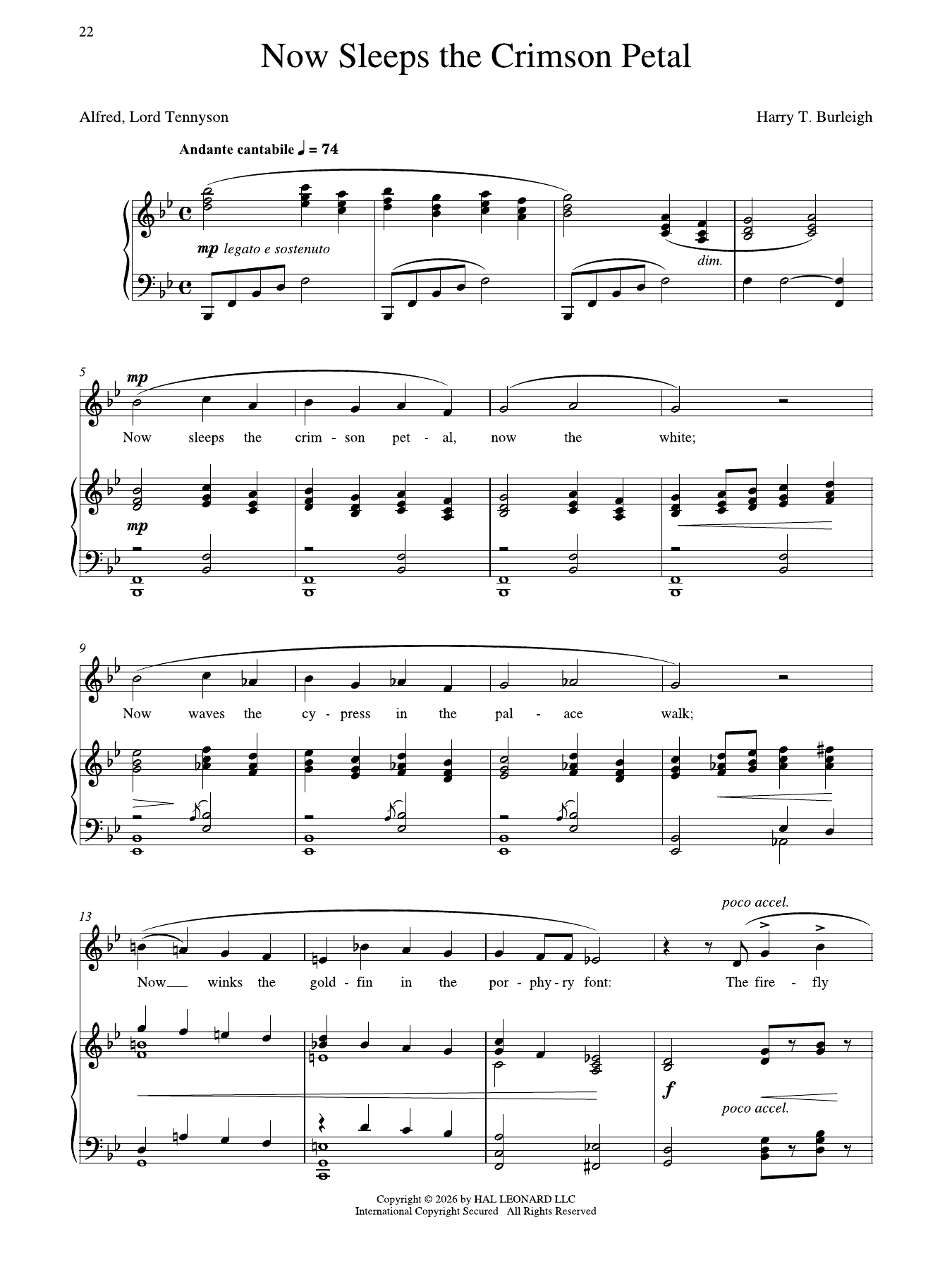 Now Sleeps The Crimson Petal (Low Voice): Piano Vocal