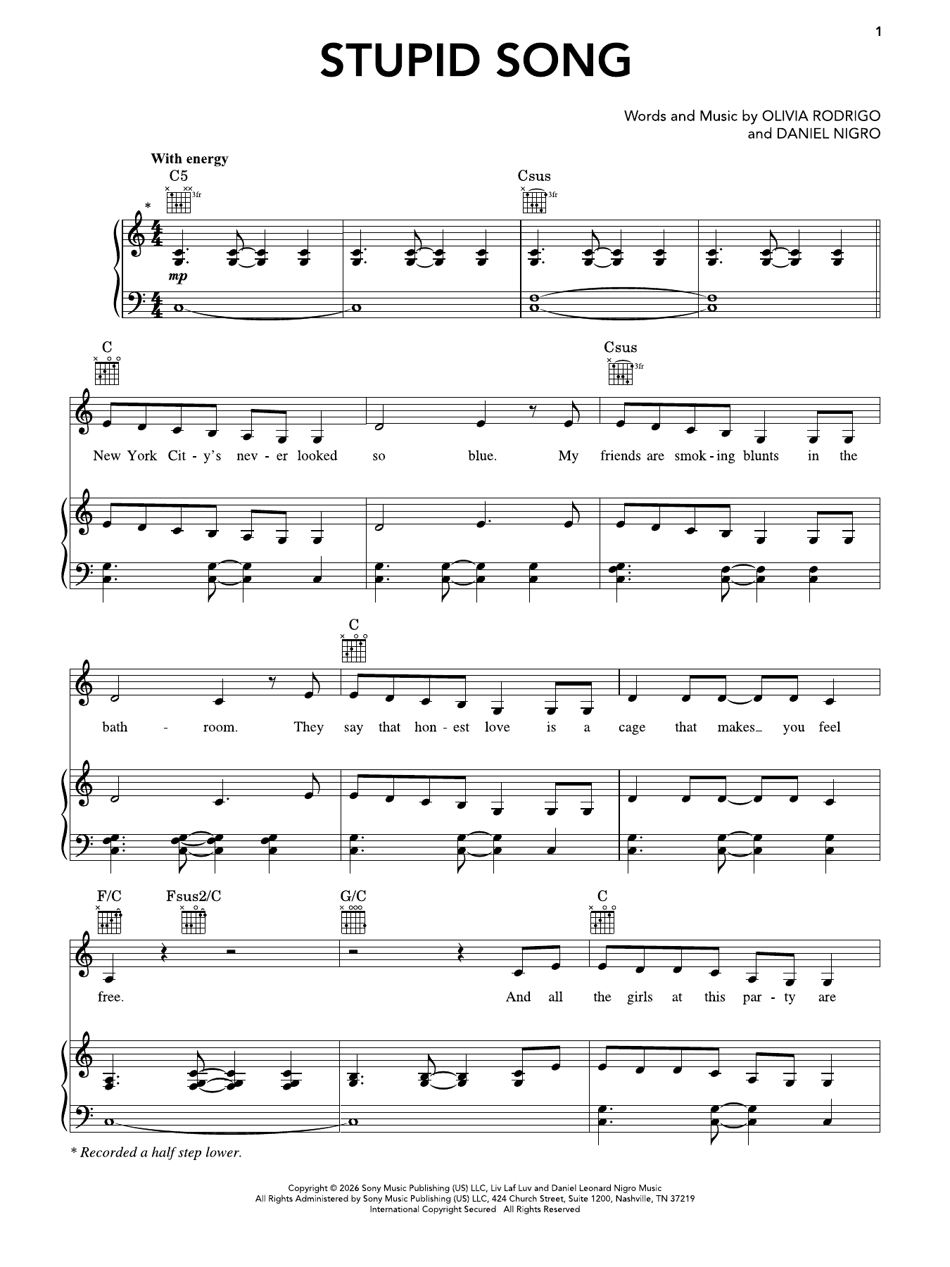 stupid song: Piano/Vocal/Guitar Sheet