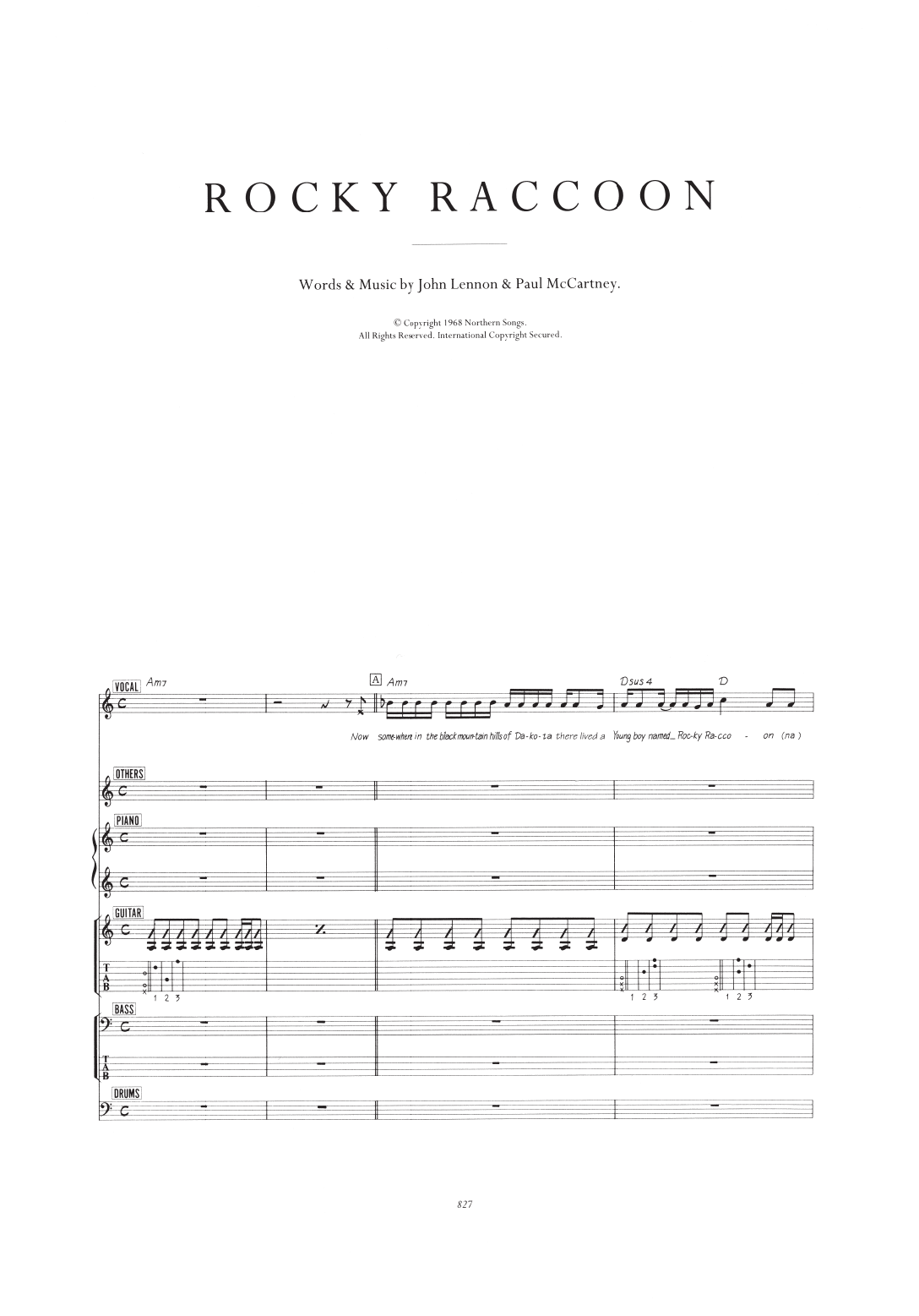 Rocky Raccoon