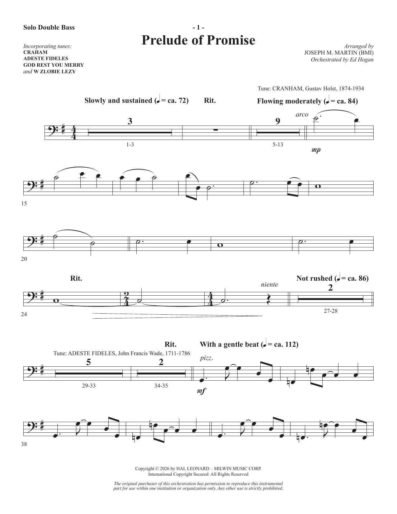 Night Of Wonders - Solo Double Bass