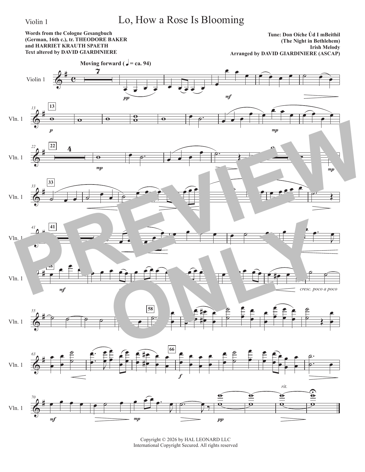 Lo, How A Rose Is Blooming - Violin 1