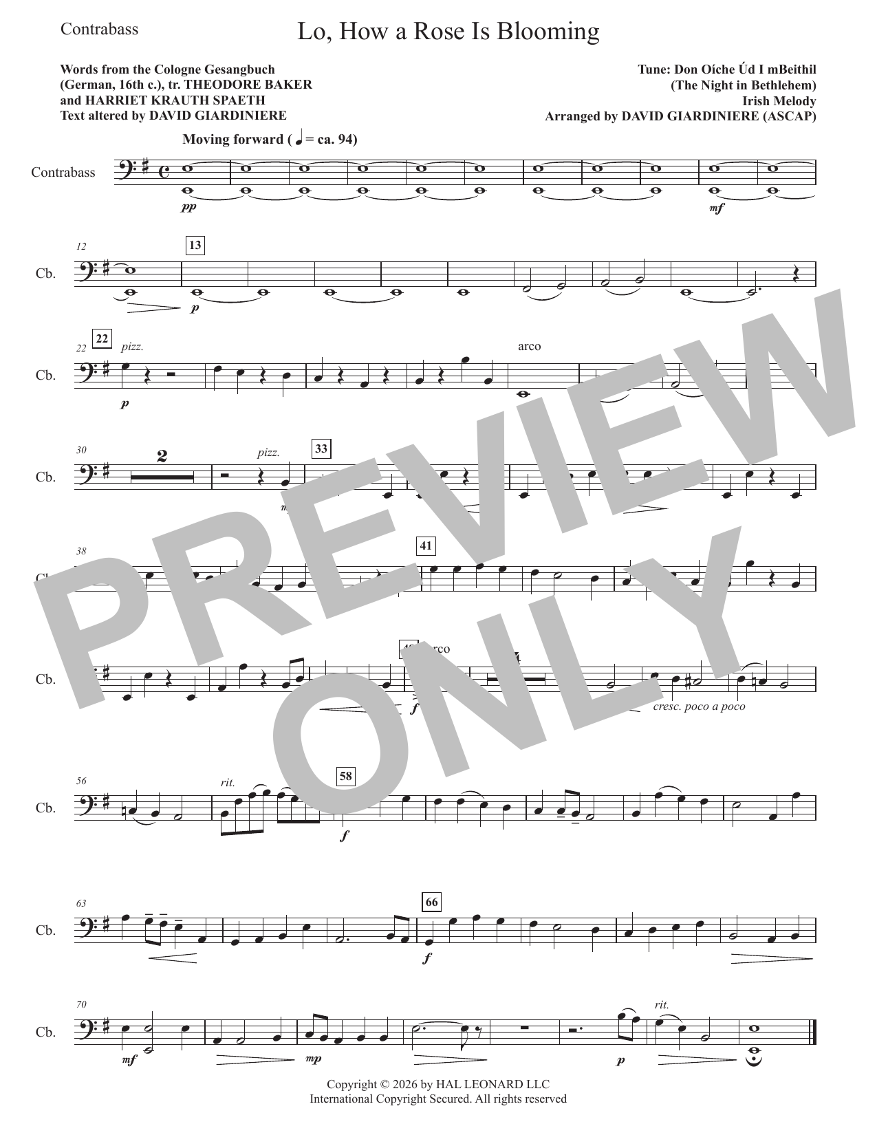 Lo, How A Rose Is Blooming - Contrabass