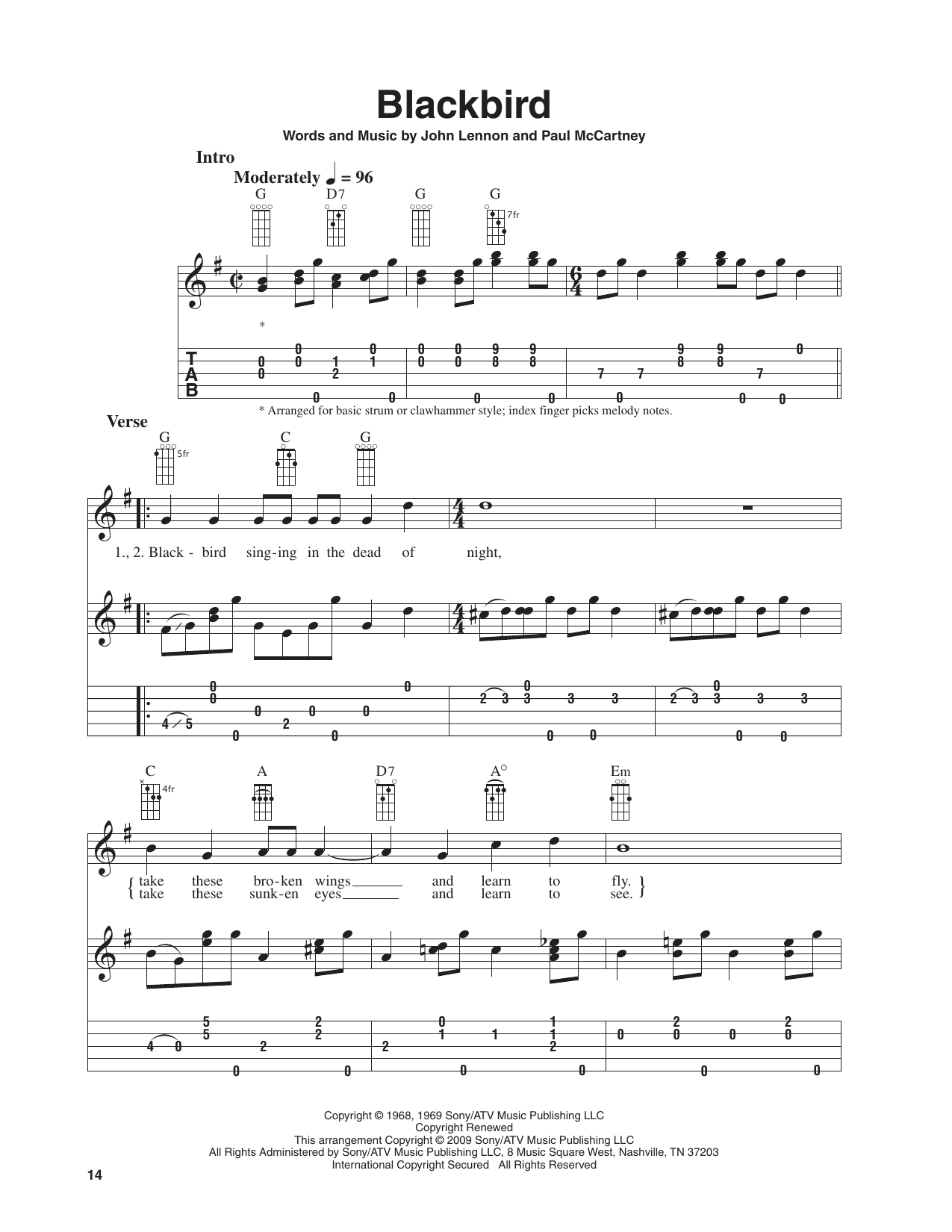 Blackbird