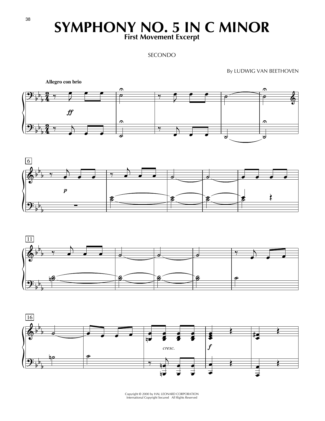 Symphony No. 5 In C Minor, First Movement Excerpt