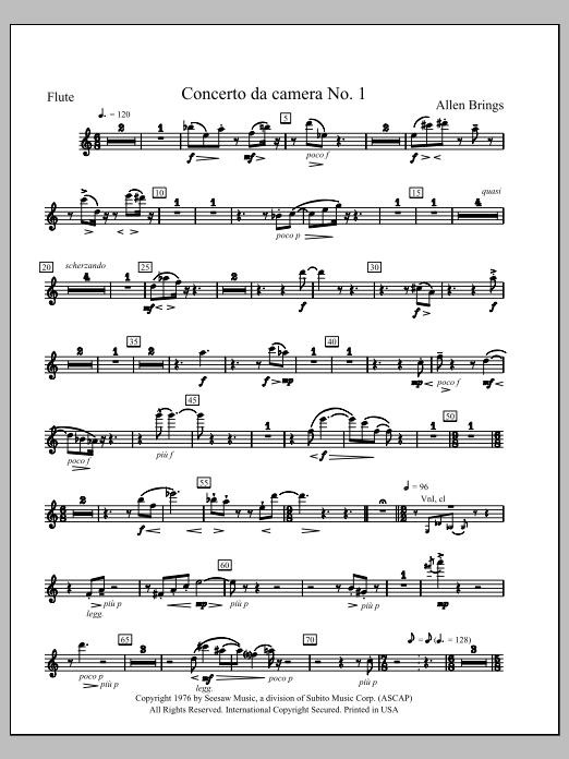 Concerto da Camara No. 1 - Flute