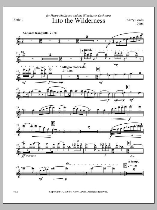 Into the Wilderness - Flute