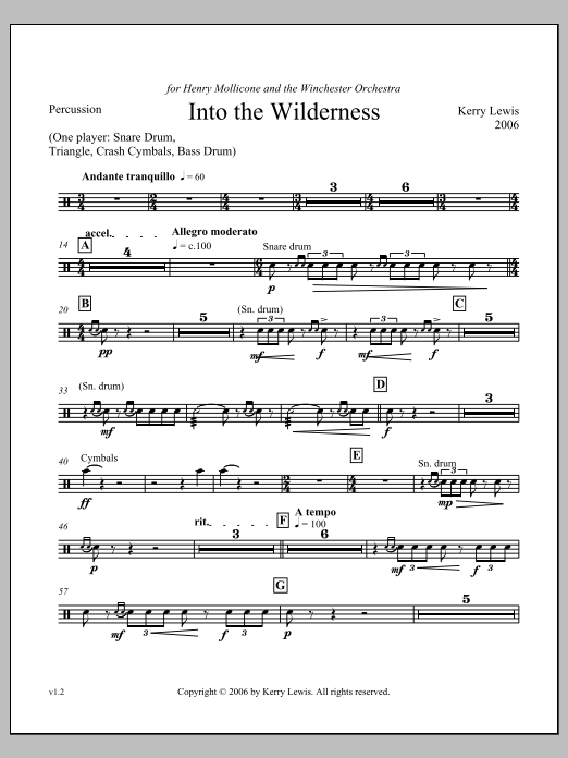 Into the Wilderness - Percussion