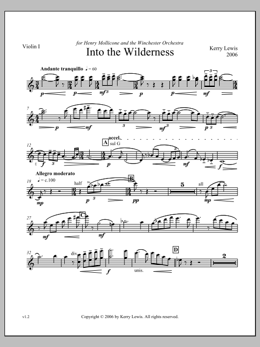 Into the Wilderness - Violin