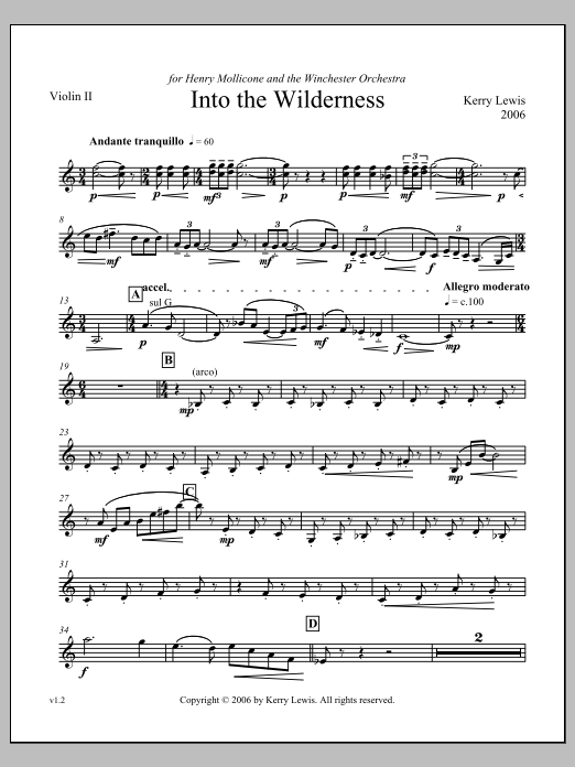 Into the Wilderness - Violin