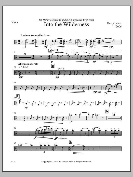 Into the Wilderness - Viola
