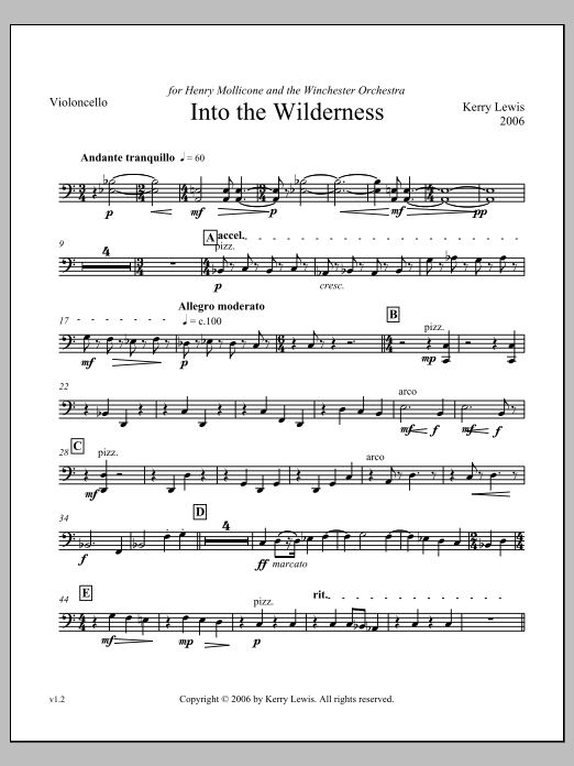 Into the Wilderness - Violoncello