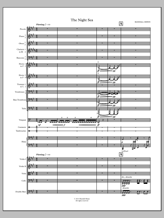 The Night Sea for orchestra: Full Orchestra Conductor Score & Parts