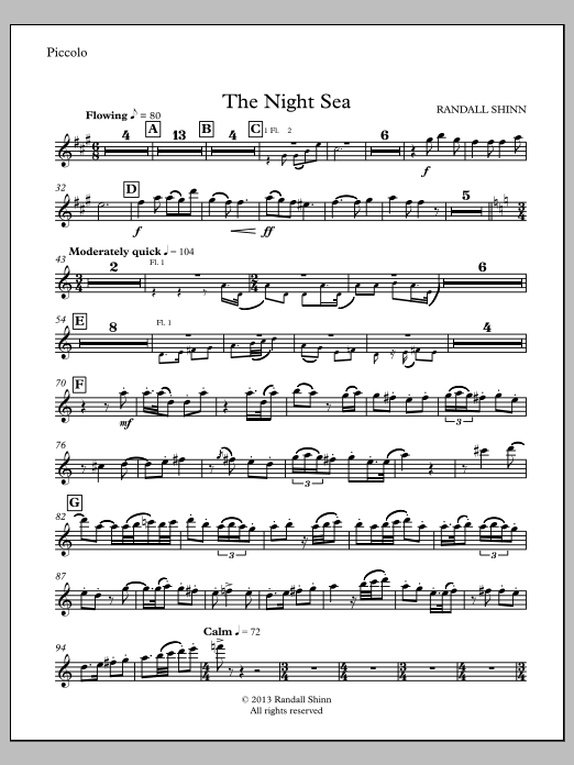 The Night Sea for orchestra - Piccolo