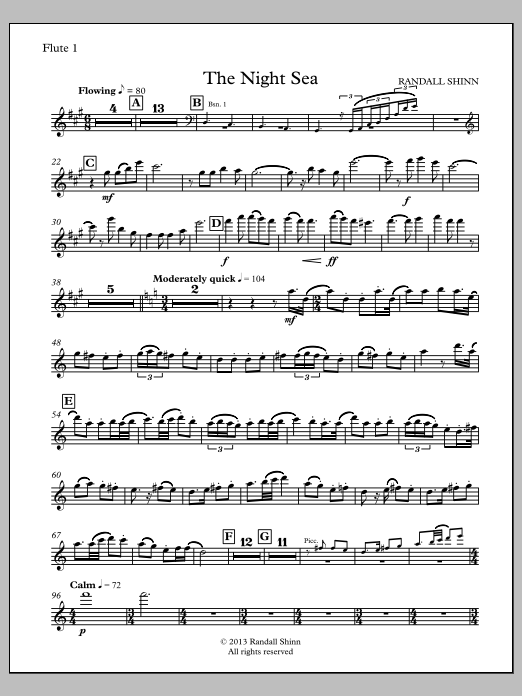 The Night Sea for orchestra - Flute