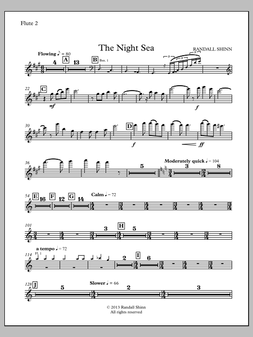 The Night Sea for orchestra - Flute