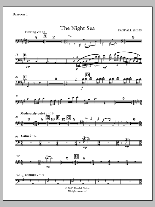 The Night Sea for orchestra - Bassoon