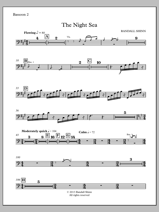 The Night Sea for orchestra - Bassoon