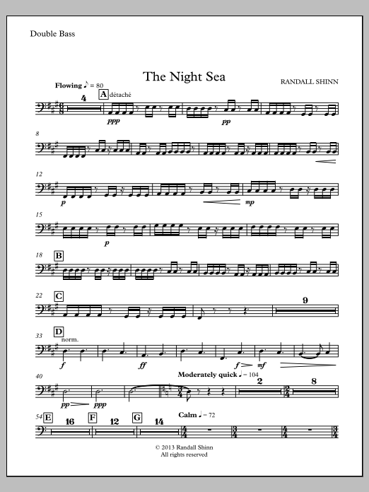 The Night Sea for orchestra - Contrabass