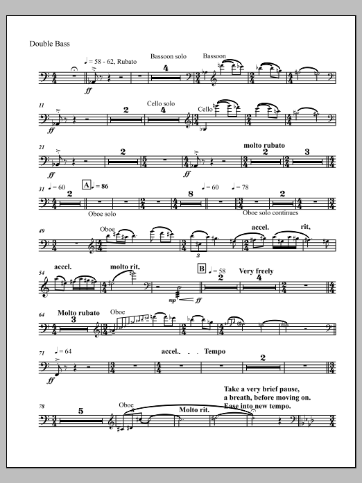 Mourning Sea - Contrabass