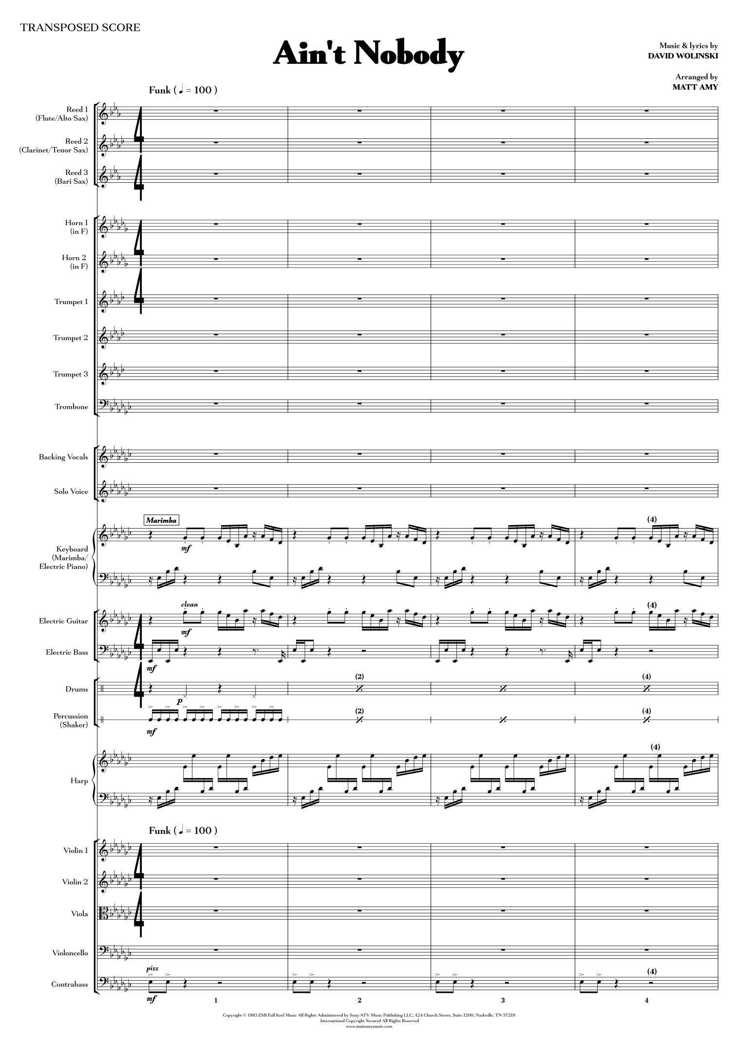 Ain't Nobody (arr. Matt Amy) by Chaka Khan 管弦乐团全编制 - 预览