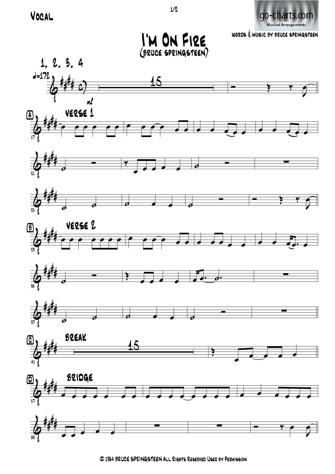 I'm On Fire (arr. Andy Davidson (go-charts.com)) by Bruce Springsteen 管弦乐团 - 预览