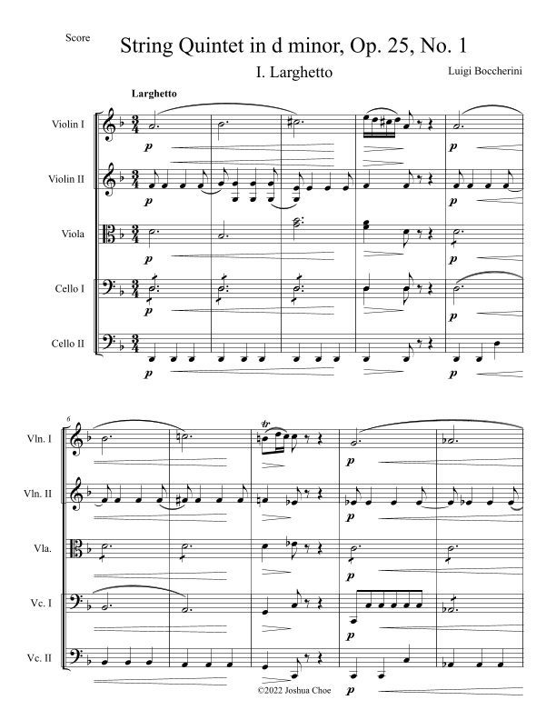 String Quintet in d minor, Op. 25, No. 1, Movement 1 (arr. Joshua Choe