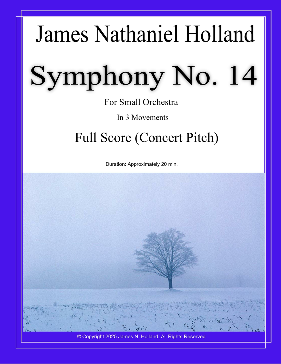Symphony No. 14 Full Score Only - 仅总谱 (James Nathaniel Holland Chamber Orchestra) - 预览