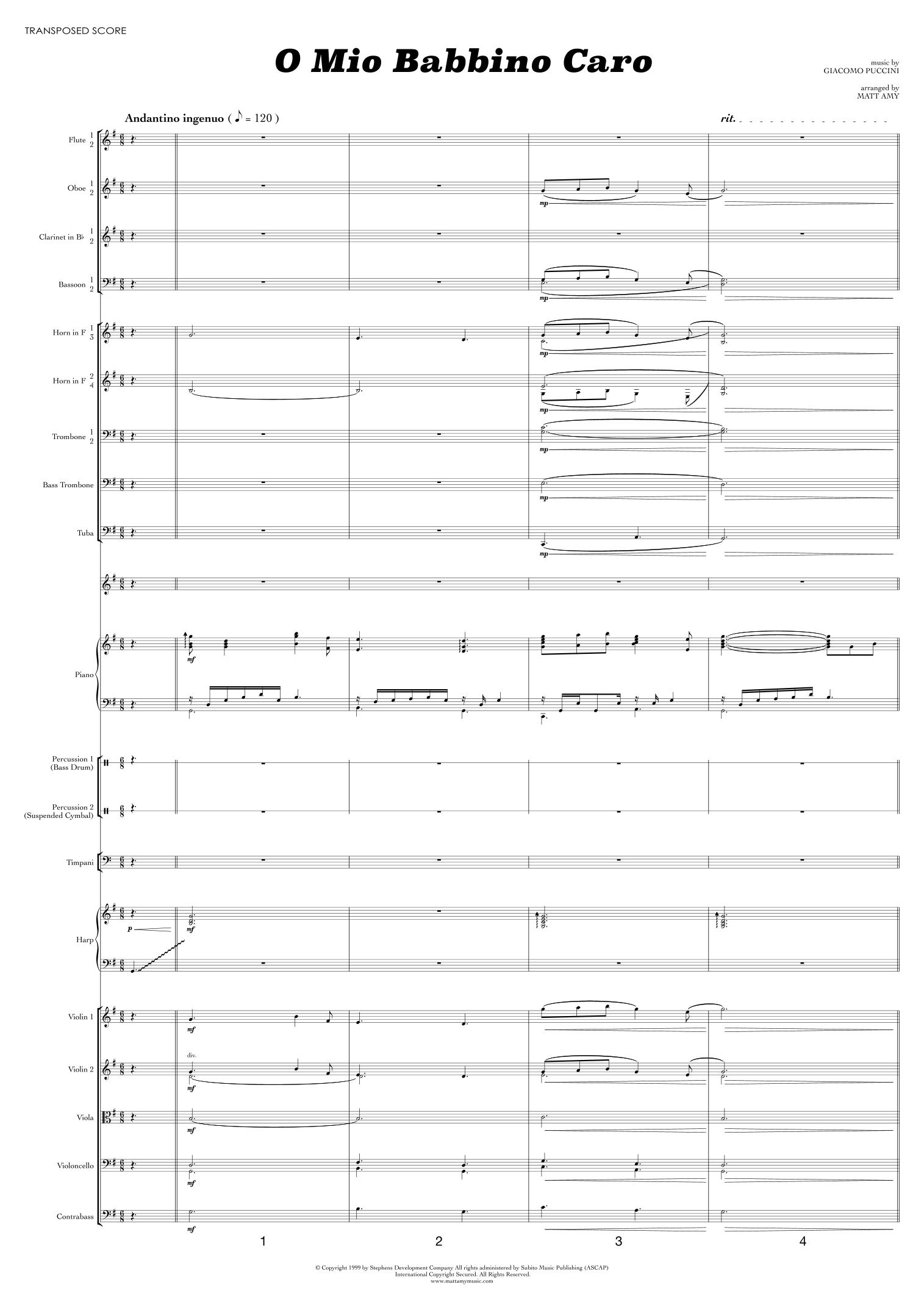 O Mio Babbino Caro (arr. Matt Amy) by Puccini 管弦乐团 - 预览
