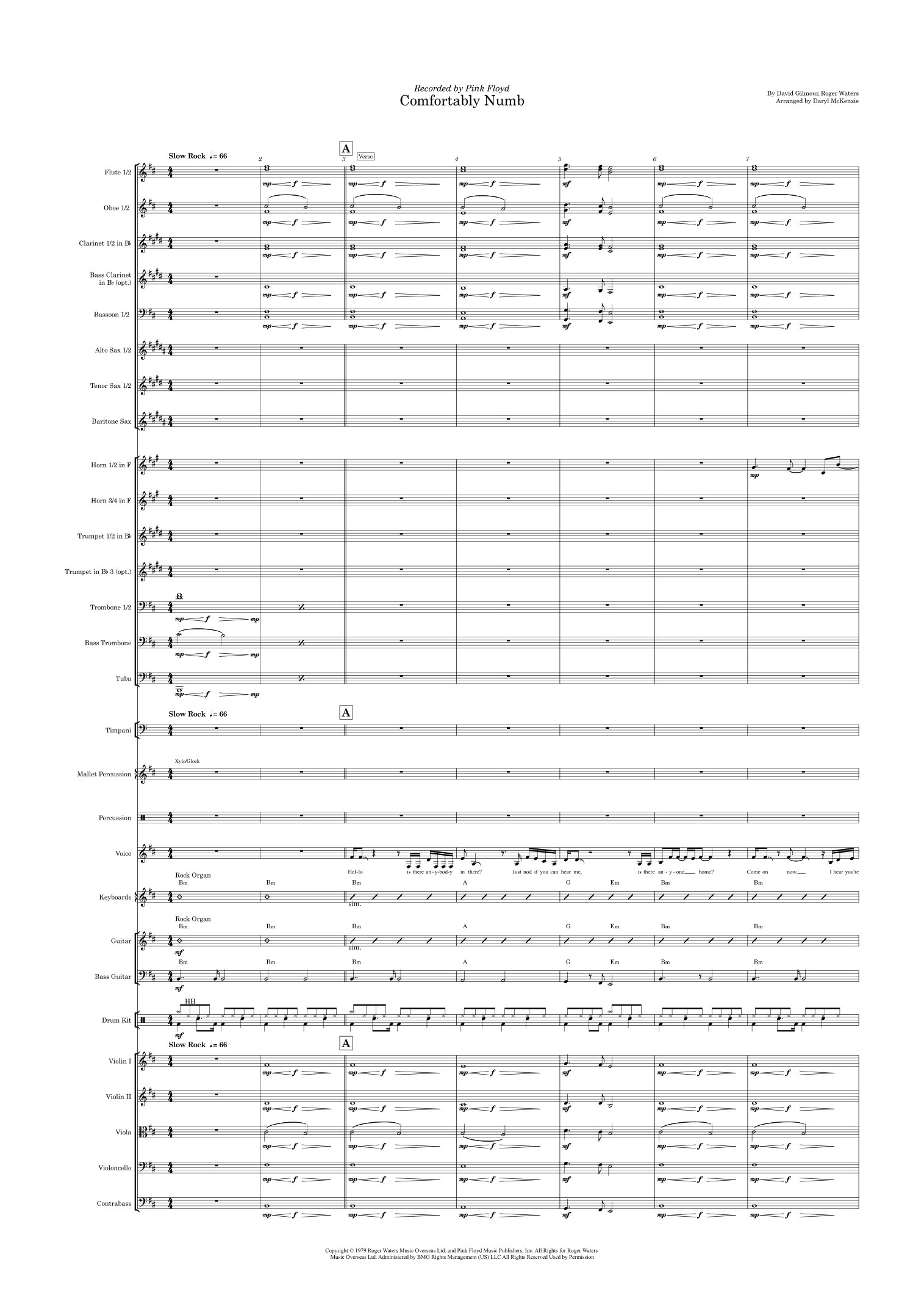 Comfortably Numb (arr. Daryl McKenzie) by Pink Floyd 管弦乐团 - 预览