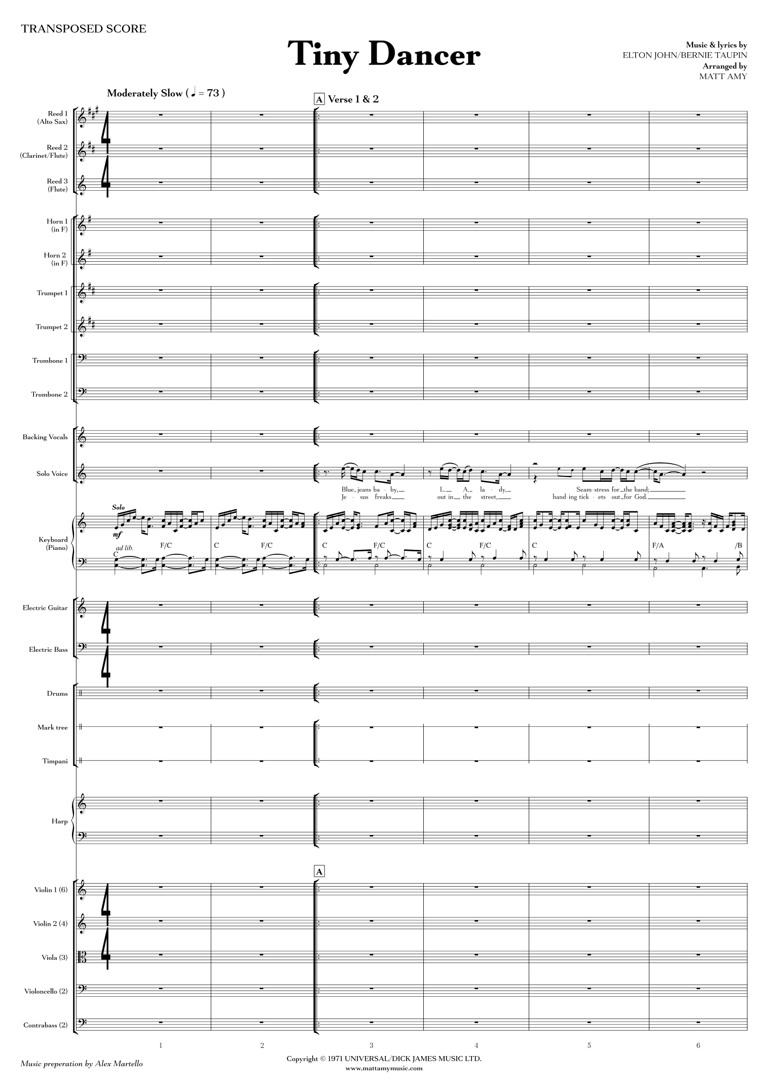 Tiny Dancer (arr. Matt Amy) by Elton John 管弦乐团全谱 - 预览