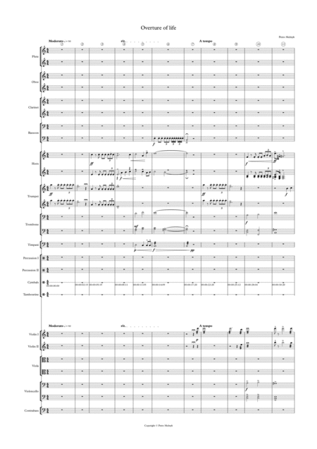 Overture of life - Petro Melnyk by Petro Melnyk Full Orchestra