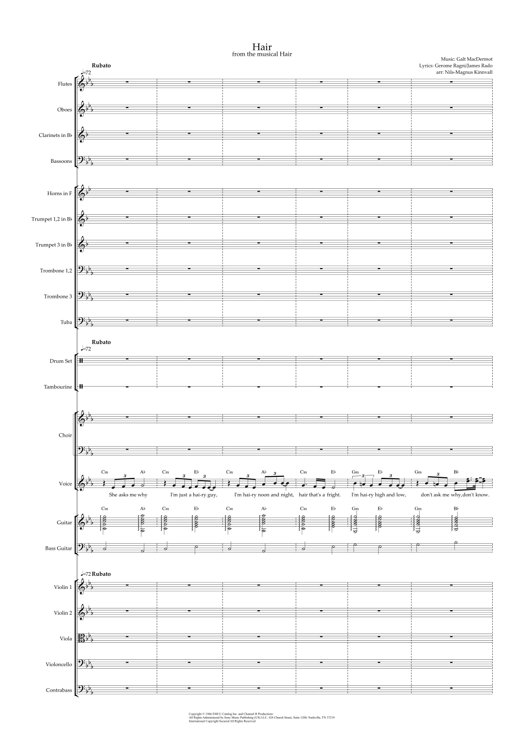 Hair (arr. Nils-Magnus Kinnvall) by James Rado 管弦乐团 - 预览