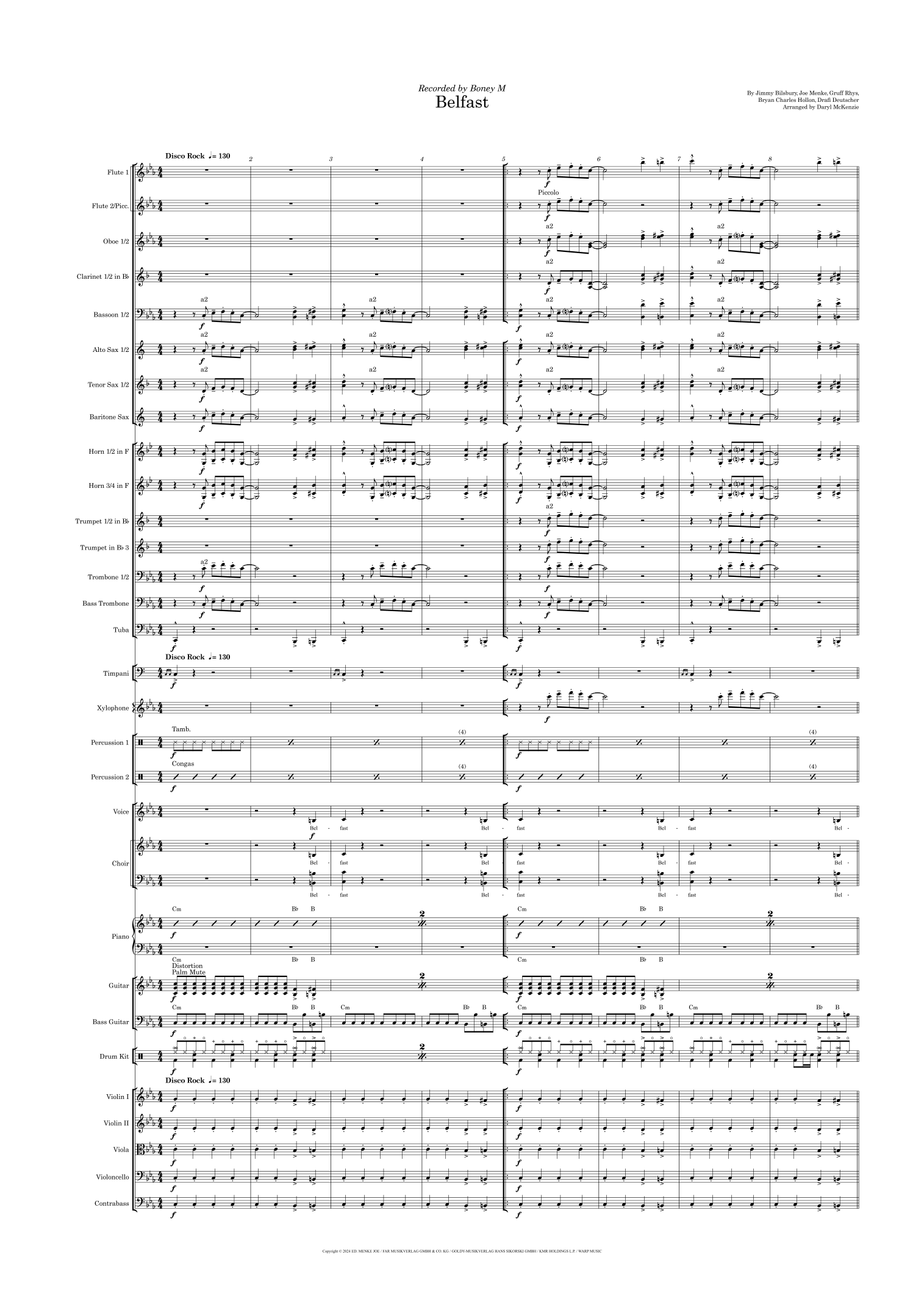 Belfast (arr. Daryl McKenzie) by Neon Neon Full Orchestra - 预览