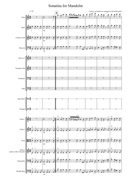 Sonatina by Beethoven for School Orchestra (arr. David Burndrett) by Ludwig van Beethoven Full Orchestra