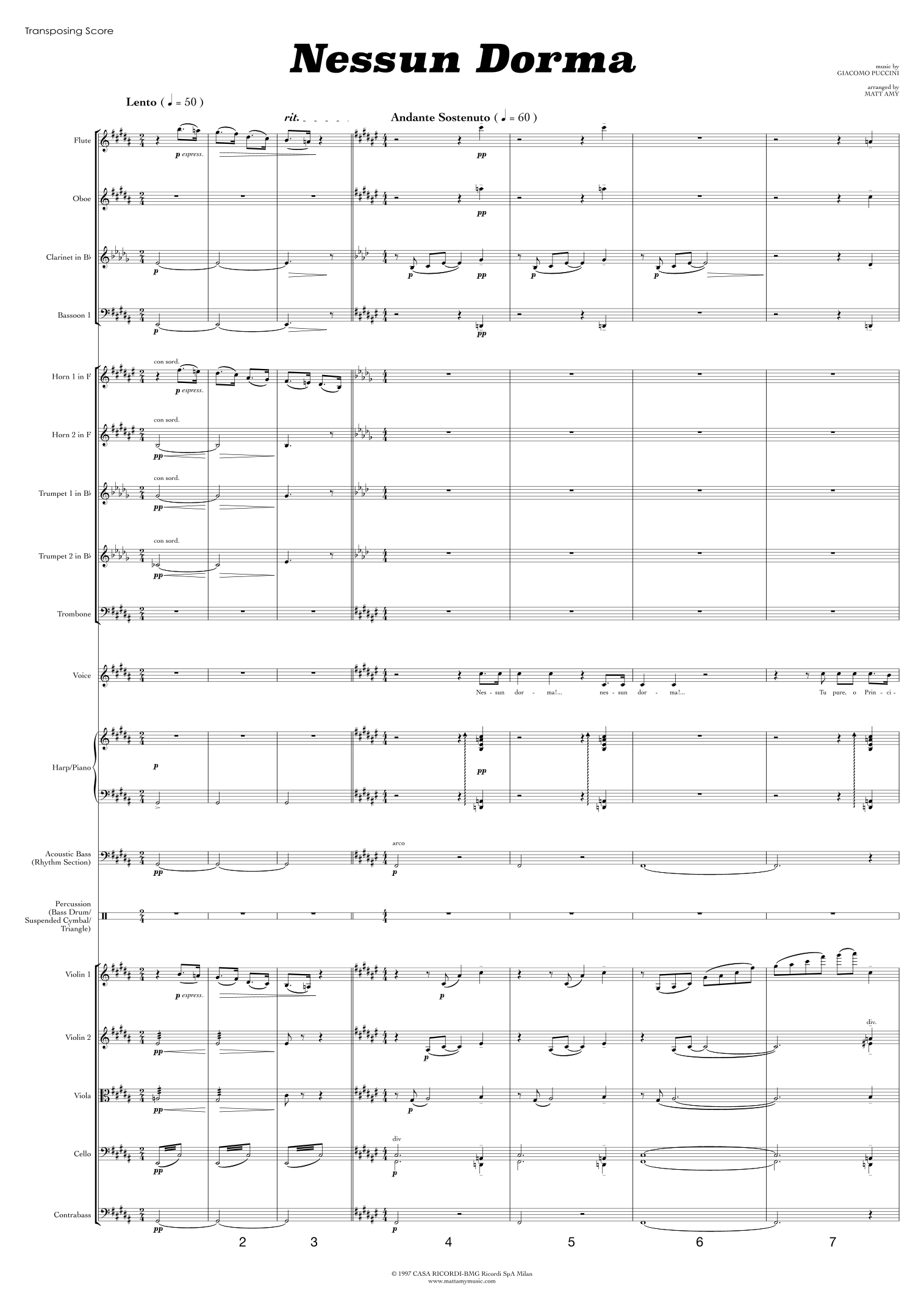 Nessun Dorma (arr. Matt Amy) by Renato Simoni 管弦乐团 - 预览