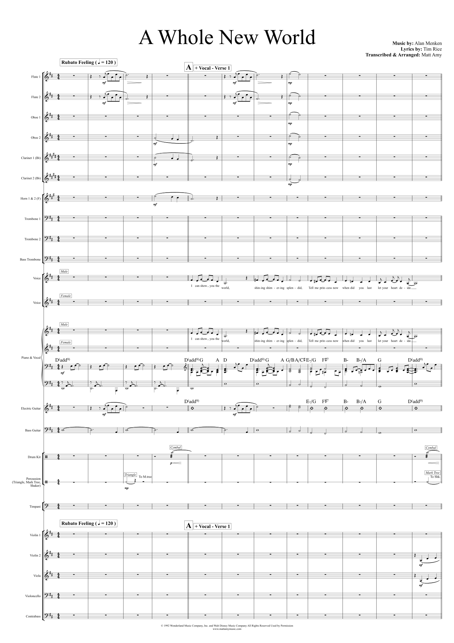 A Whole New World (arr. Matt Amy) by Tim Rice 管弦乐团 - 预览