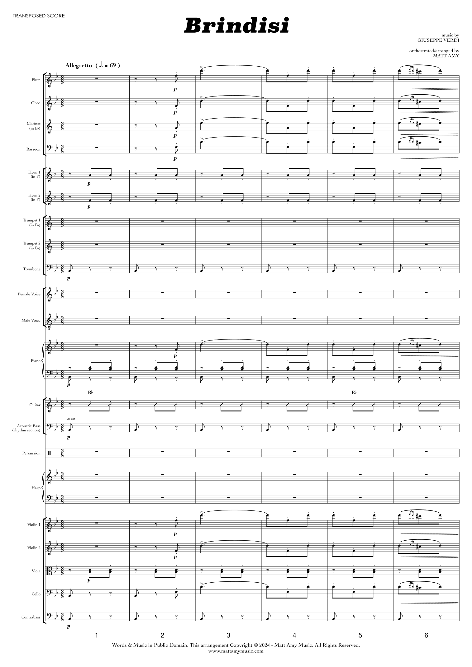 Brindisi (arr. Matt Amy) by La traviata 管弦乐团 - 预览