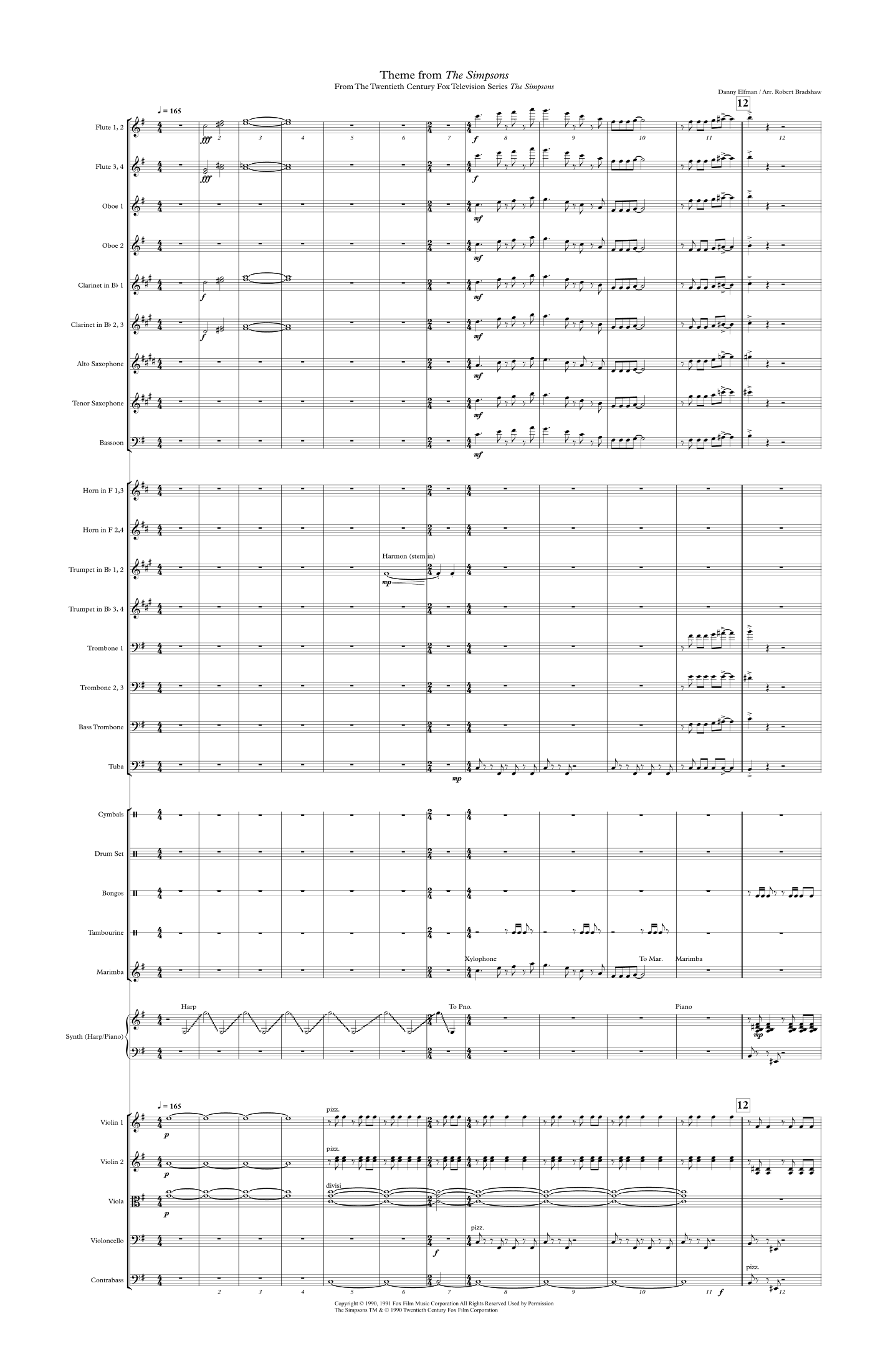 Theme From The Simpsons (arr. Robert Bradshaw) by Danny Elfman 管弦乐团 - 预览