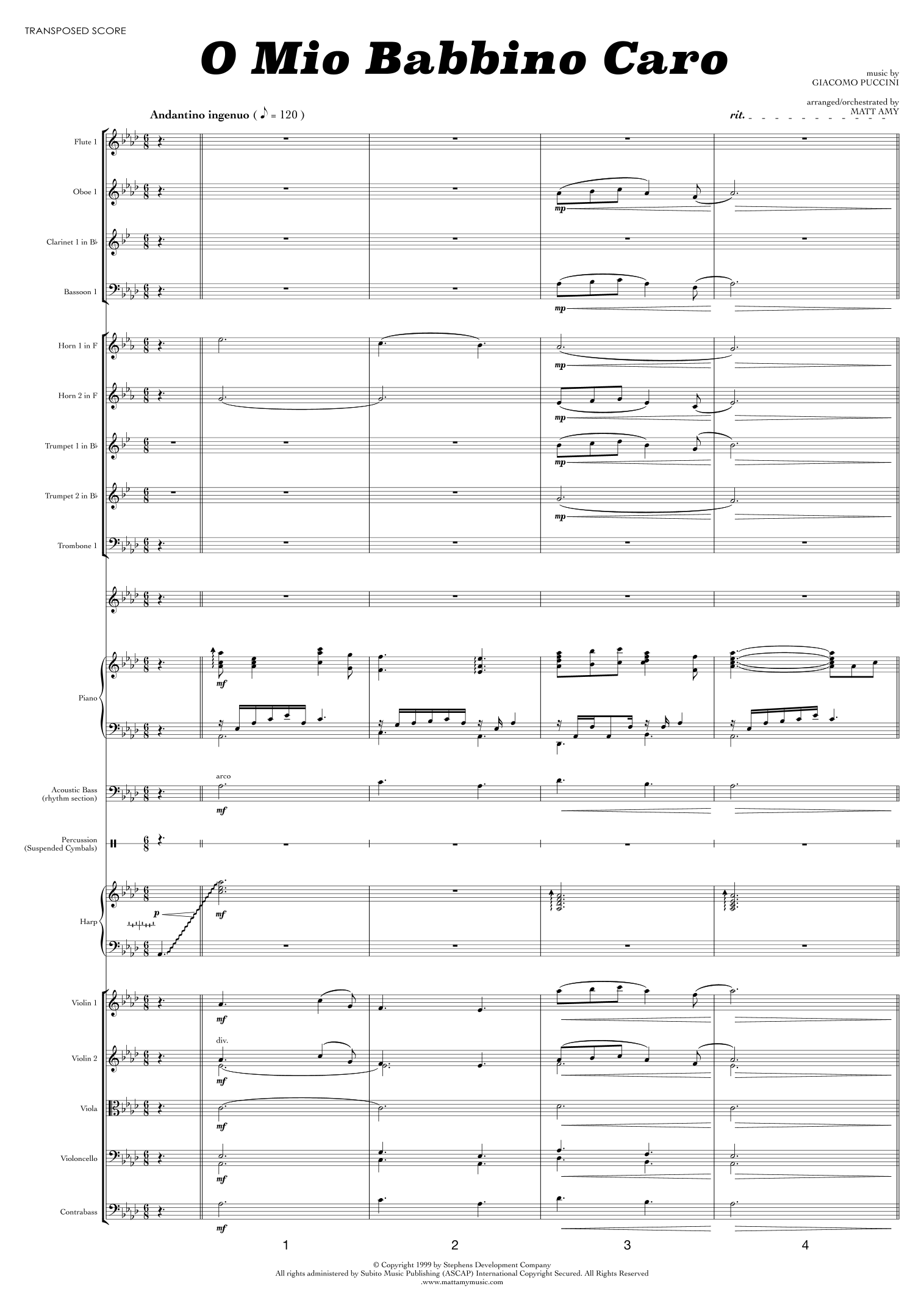 O Mio Babbino Caro (arr. Matt Amy) by Puccini 管弦乐团 - 预览
