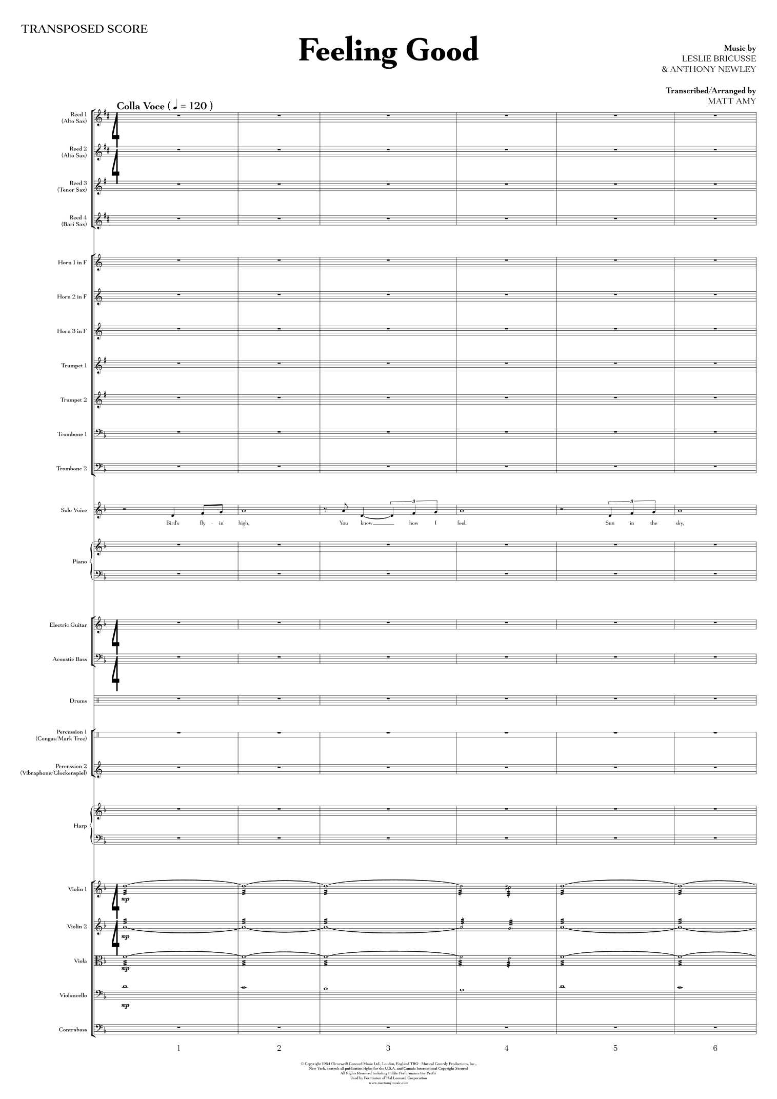 Feeling Good (arr. Matt Amy) by Michael Buble 管弦乐团全谱 - 预览