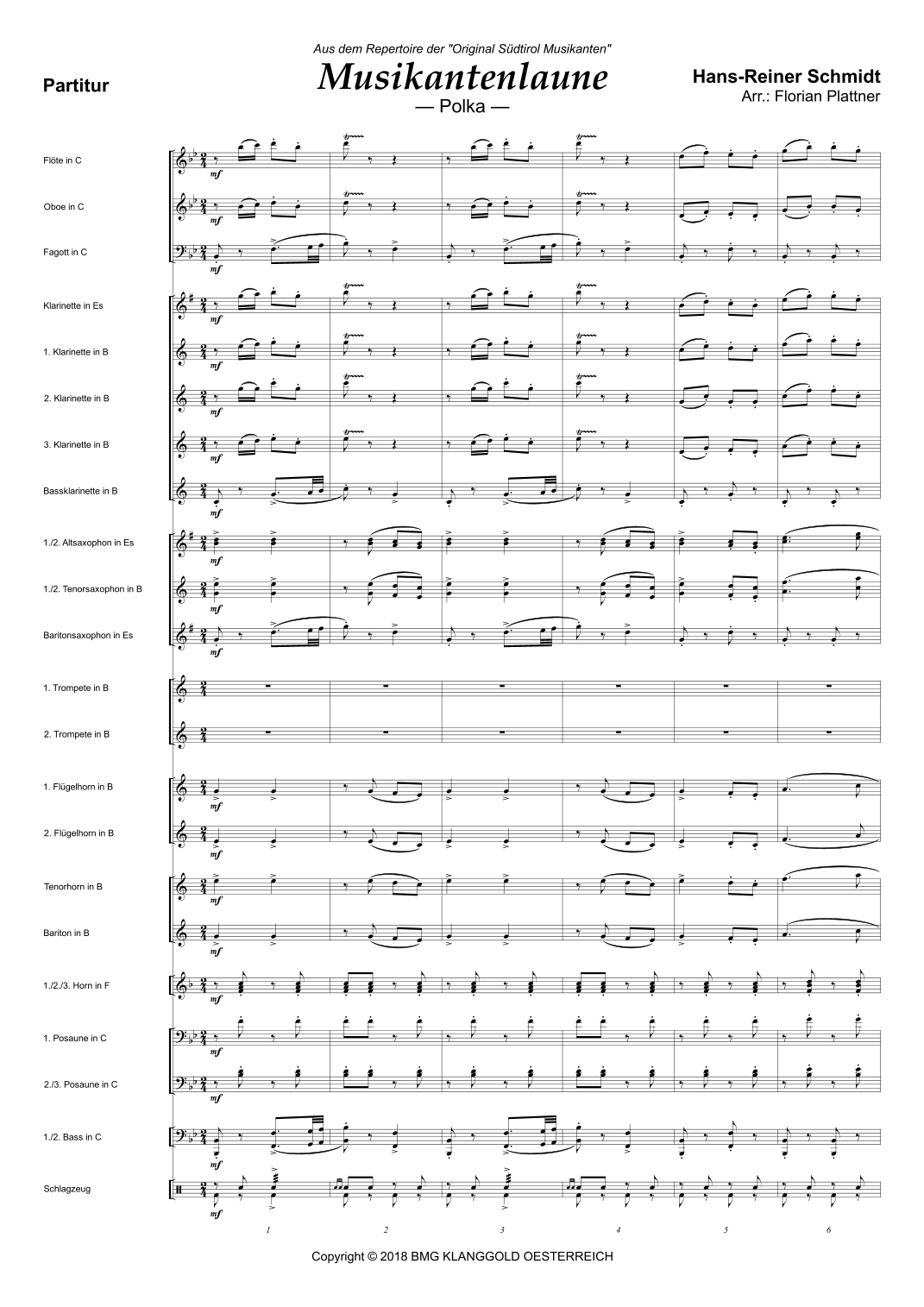 Musikantenlaune (arr. Florian Plattner) by Hans Reiner Schmidt 管弦乐团全谱 - 预览