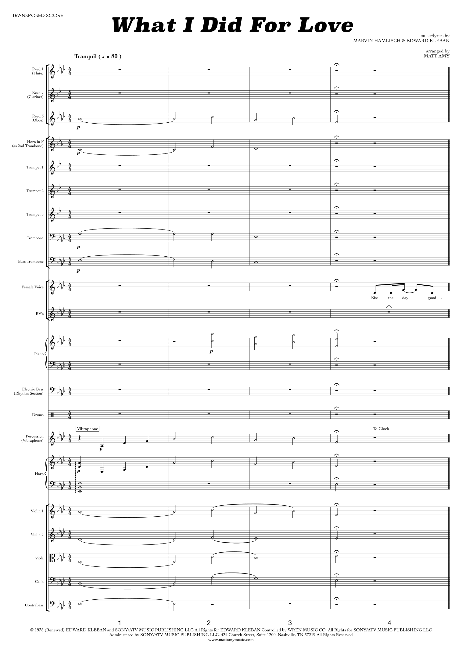 What I Did For Love (arr. Matt Amy) by Marvin Hamlisch Full Orchestra