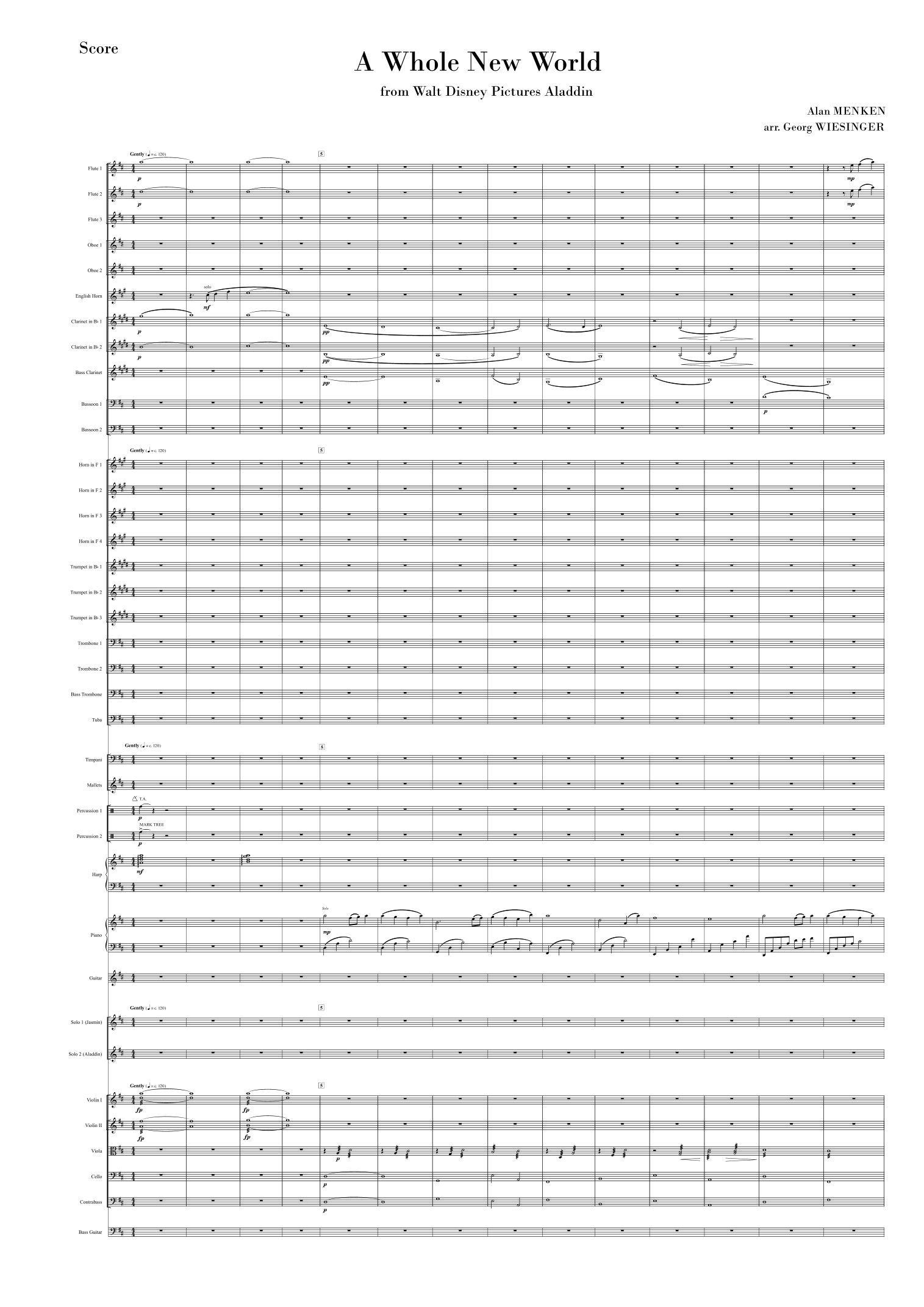 A Whole New World (arr. Georg Wiesinger) by Tim Rice Full Orchestra